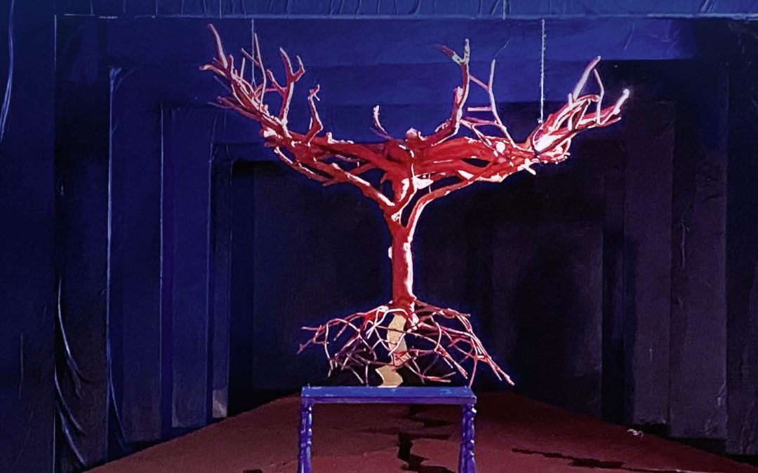 Opera – Frida och Diegos sista dröm